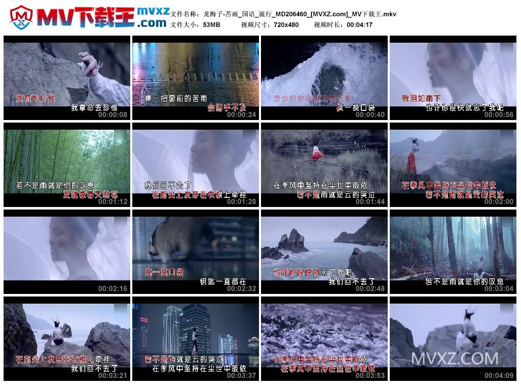 龙梅子-苦雨_国语_流行_MD206460